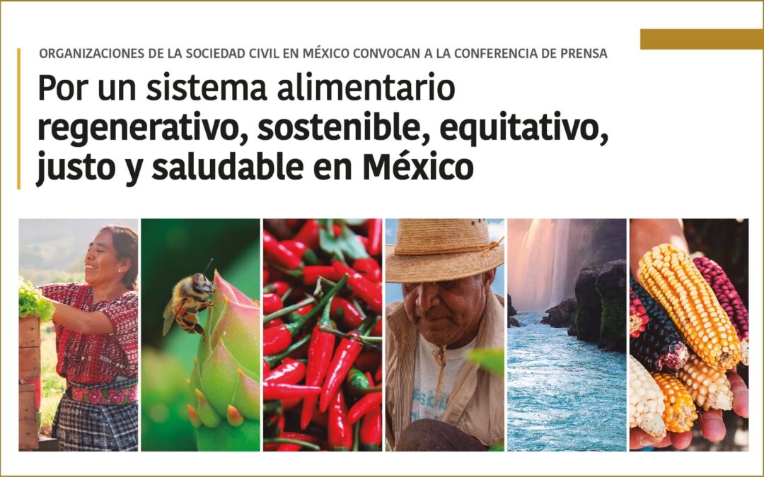 Llaman al gobierno mexicano a ser voz de la humanidad y de la esperanza en la Pre-Cumbre de Sistemas Alimentarios ante la captura de las corporaciones