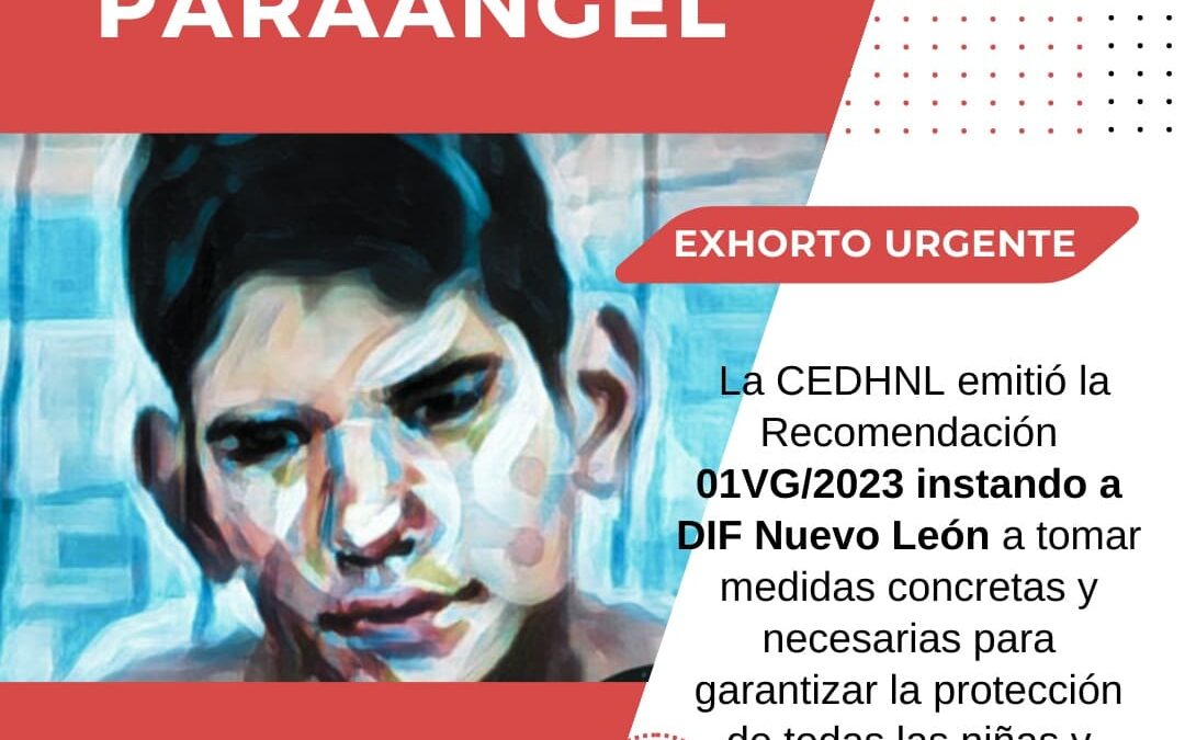 REDIM llama al gobierno estatal de Nuevo León a dar una muestra de genuino respeto por el interés superior de la niñez, a través de la aceptación de la recomendación emitida por la CEDHNL, en el caso del asesinato del adolescente Ángel Manuel Moreno en el DIF Fabriles