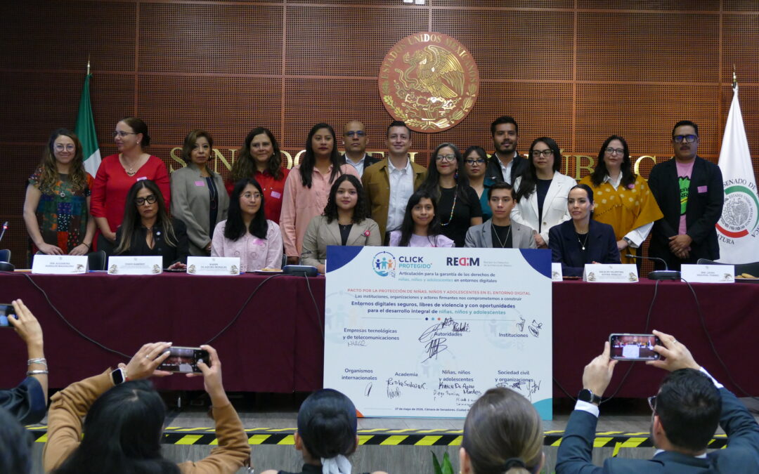 PRONUNCIAMIENTO: Proteger a las infancias y adolescencias en internet no es restringir sus derechos