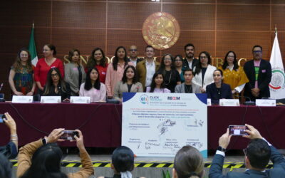 PRONUNCIAMIENTO: Proteger a las infancias y adolescencias en internet no es restringir sus derechos